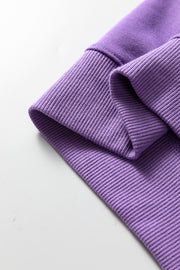 Wisteria Solid Color Collared Pullover and Central Seam Pants Set