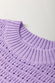 Lavendula Pointelle knit Ribbed Trim Short Sleeve Sweater