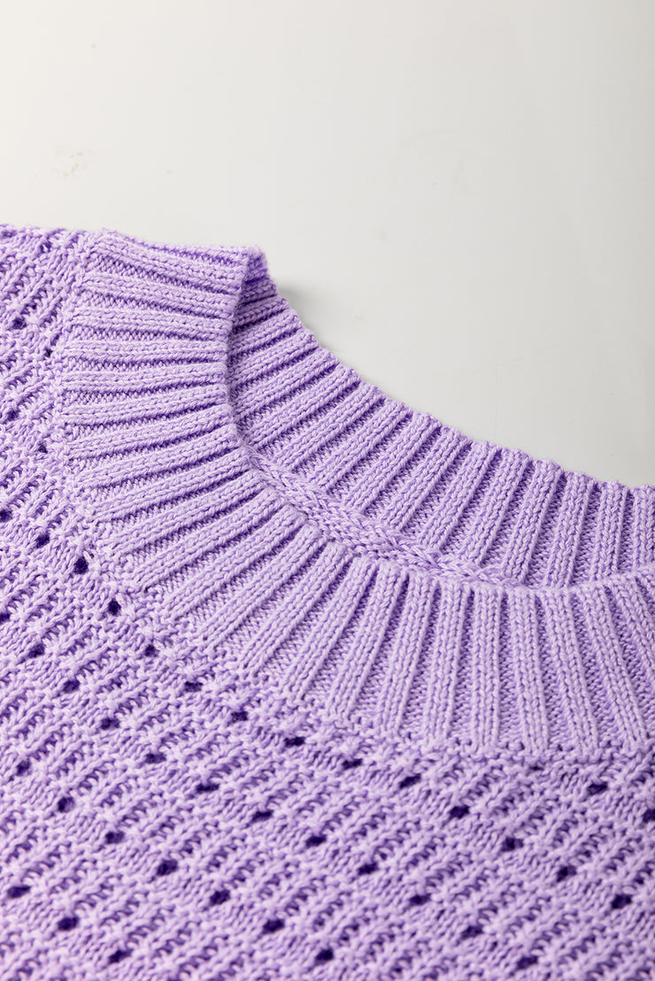 Lavendula Pointelle knit Ribbed Trim Short Sleeve Sweater