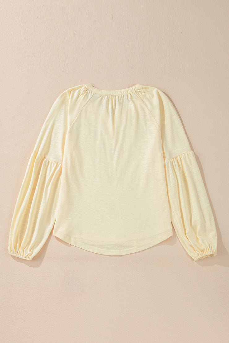 Apricot Paisley Floral Embroidered Notch V Neck Blouse