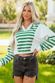 Green Stripe Colorblock Collared V Neck Cropped Knit Pullover
