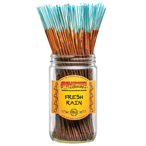 Fresh Rain Incense Sticks (Pack of 10)-Incense-Fragrances & More-Unique Oils