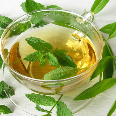 Lemon Verbena Fragrance Oil-Fragrance Oils-Unique Oils-Unique Oils