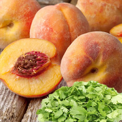 Peach Cilantro Fragrance Oil-Fragrance Oils-Unique Oils-Unique Oils