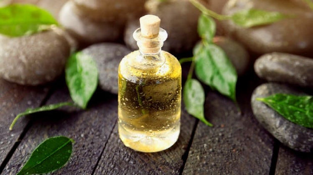 Tea Tree Oil-Essential Oils-Unique Oils-Unique Oils