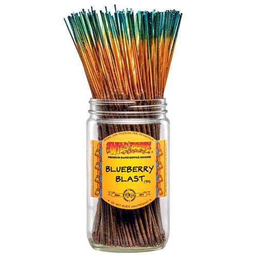 Blueberry Blast Incense Sticks (Pack of 30)-Incense-Fragrances & More-Unique Oils