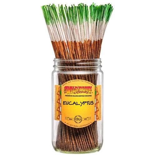 Eucalyptus Incense Sticks (Pack of 100)-Incense-Fragrances & More-Unique Oils