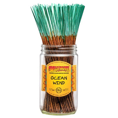 Ocean Wind Incense Sticks (Pack of 10)-Incense-Fragrances & More-Unique Oils