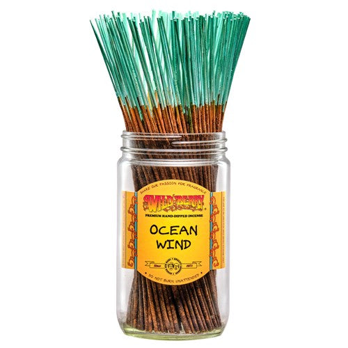 Ocean Wind Incense Sticks (Pack of 10)-Incense-Fragrances & More-Unique Oils